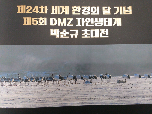 DMZ 두루미 자연생태계 지킴이를 자임한 자연생태 사진작가 박순규